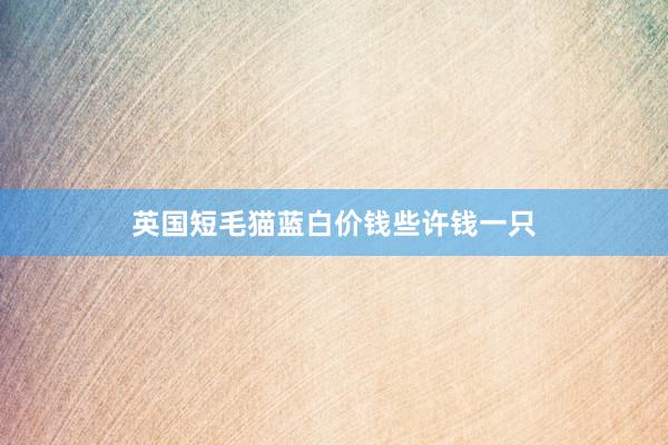 英国短毛猫蓝白价钱些许钱一只