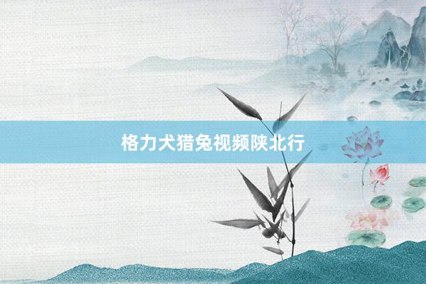 格力犬猎兔视频陕北行