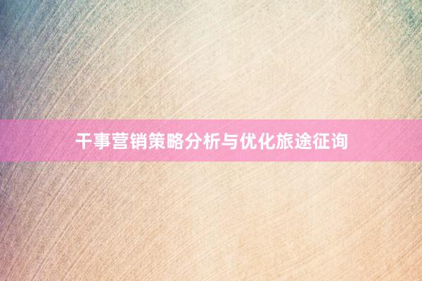 干事营销策略分析与优化旅途征询