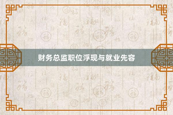 财务总监职位浮现与就业先容